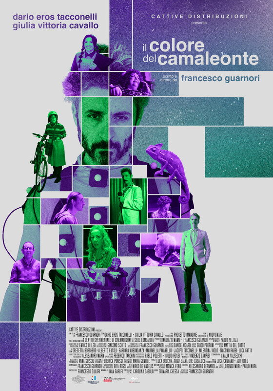 locandina di IL COLORE DEL CAMALEONTE